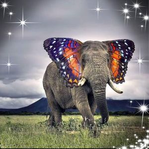 Meet your Posher, Lillian